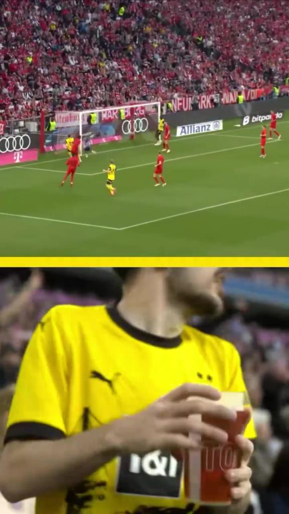 勇者無(wú)懼！這是真多特球迷！在拜仁球迷區(qū)一個(gè)人肆意慶祝！